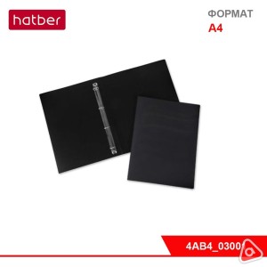 Папка пластиковая А4 на 2-х кольцах 25 мм черная Hatber LINE / 03001