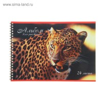 Альбом для рисования 24 л A4 на гребне "Африка, Дикие кошки" 056/009