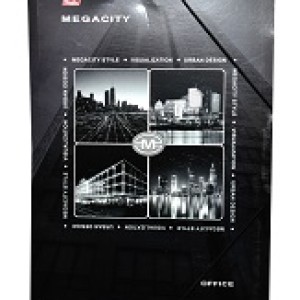 Папка А4 картонная на резинке HATBER Megacity