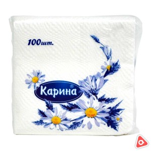 Салфетки бумажные "Карина" / "DOSTYQ" 100 шт / в блоке 60 шт