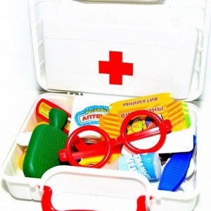 Животные Домашние животные и птицы в упак 6 шт / D-39