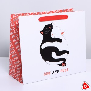 Пакет подарочный 23х27х11,5 см ламинированный Кошки в обнимку/3900