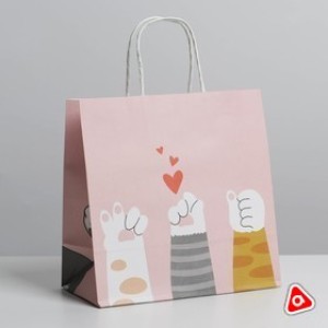 Пакет подарочный 22х22х11см Лапки/0724