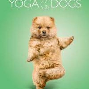 Тетрадь общая 48л А5 в клетку "Yoga dogs" YD17/5