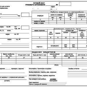 Бланк Путевой лист грузового авто междунароные перевозки в у.100шт